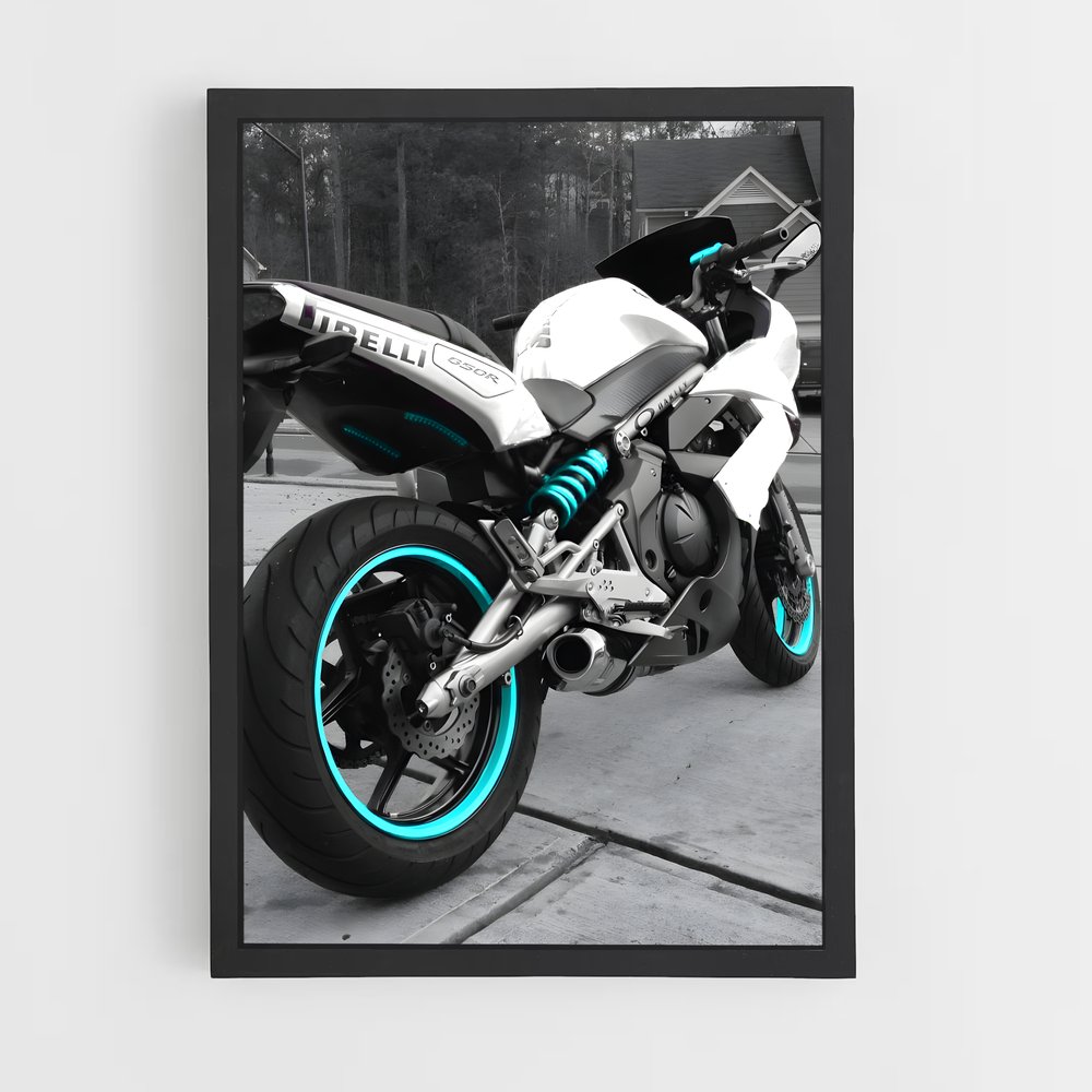 Poster Route 650 (vue 2)